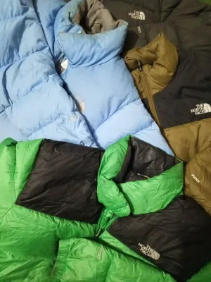 The north face nuptse 700 puffer 10 piece